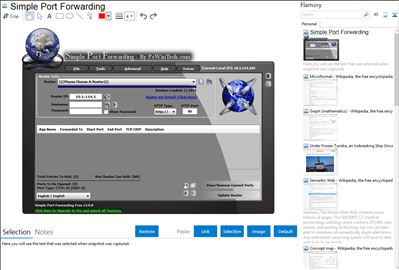 Simple Port Forwarding - Flamory bookmarks and screenshots