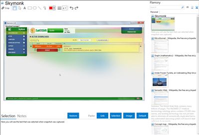 Skymonk - Flamory bookmarks and screenshots