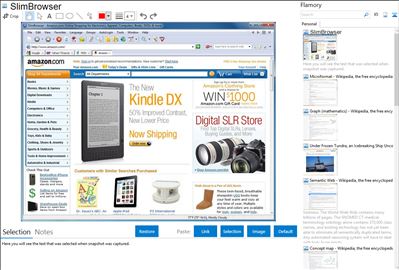 SlimBrowser - Flamory bookmarks and screenshots