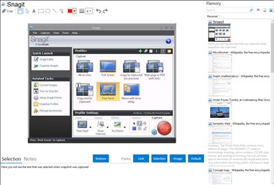 Snagit - Flamory bookmarks and screenshots