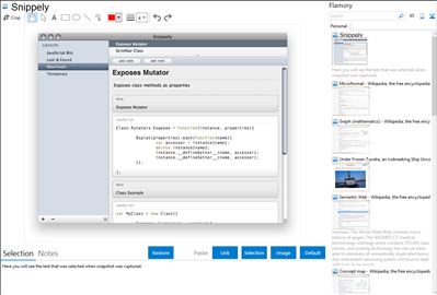 Snippely - Flamory bookmarks and screenshots