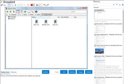 Snowbird - Flamory bookmarks and screenshots