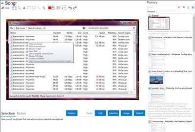 Songr - Flamory bookmarks and screenshots