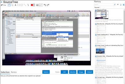 SourceTree - Flamory bookmarks and screenshots