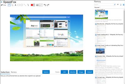 SpeedFox - Flamory bookmarks and screenshots