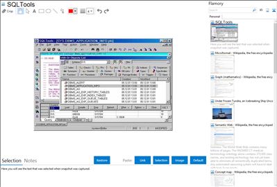 SQLTools - Flamory bookmarks and screenshots
