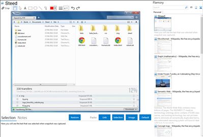 Steed - Flamory bookmarks and screenshots