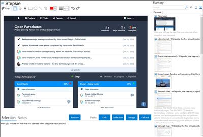 Stepsie - Flamory bookmarks and screenshots