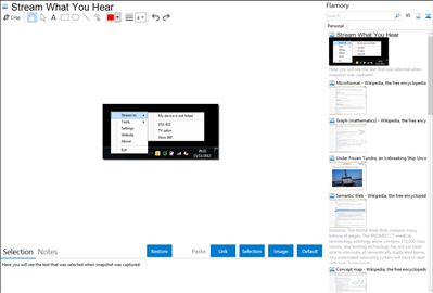 Stream What You Hear - Flamory bookmarks and screenshots