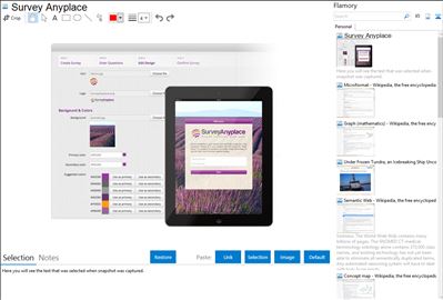 Survey Anyplace - Flamory bookmarks and screenshots