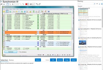 Synchronize It! - Flamory bookmarks and screenshots
