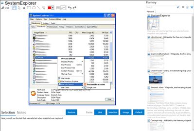 SystemExplorer - Flamory bookmarks and screenshots