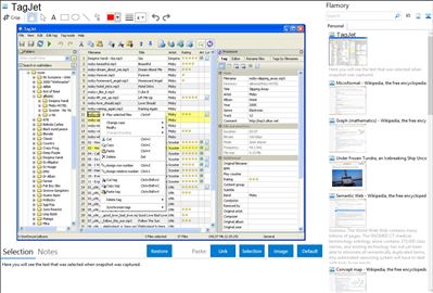 TagJet - Flamory bookmarks and screenshots