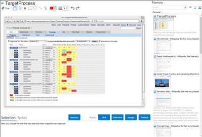 TargetProcess - Flamory bookmarks and screenshots