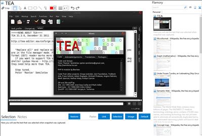 TEA - Flamory bookmarks and screenshots