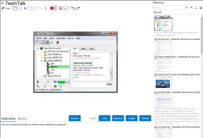 TeamTalk - Flamory bookmarks and screenshots