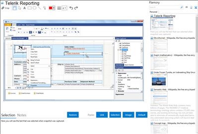 Telerik Reporting - Flamory bookmarks and screenshots