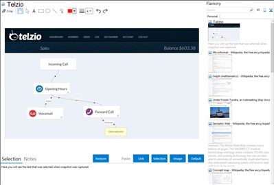 Telzio - Flamory bookmarks and screenshots