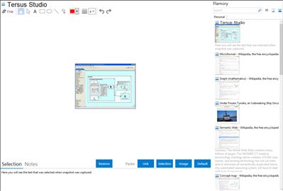 Tersus Studio - Flamory bookmarks and screenshots
