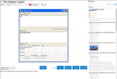 The Regex Coach - Flamory bookmarks and screenshots