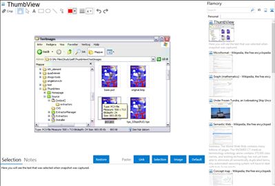 ThumbView - Flamory bookmarks and screenshots