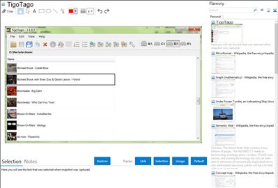 TigoTago - Flamory bookmarks and screenshots