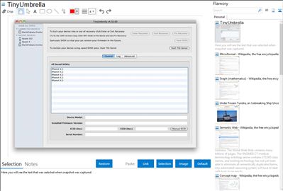 TinyUmbrella - Flamory bookmarks and screenshots