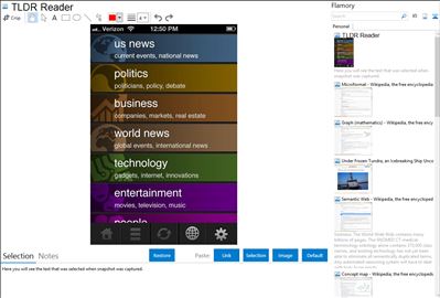 TLDR Reader - Flamory bookmarks and screenshots