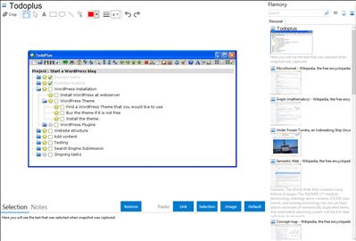 Todoplus - Flamory bookmarks and screenshots