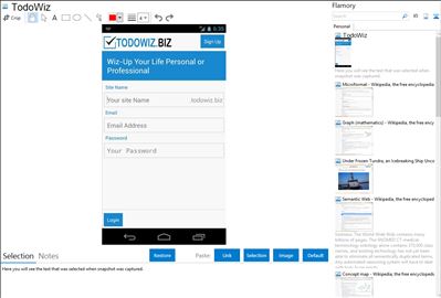 TodoWiz - Flamory bookmarks and screenshots