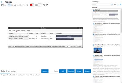 Torium - Flamory bookmarks and screenshots