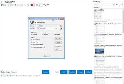 TouchPro - Flamory bookmarks and screenshots