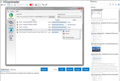 VDownloader - Flamory bookmarks and screenshots
