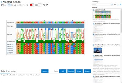 VectorFriends - Flamory bookmarks and screenshots