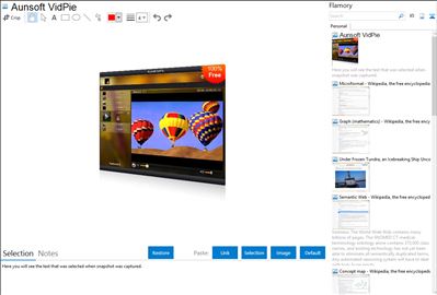 Aunsoft VidPie - Flamory bookmarks and screenshots