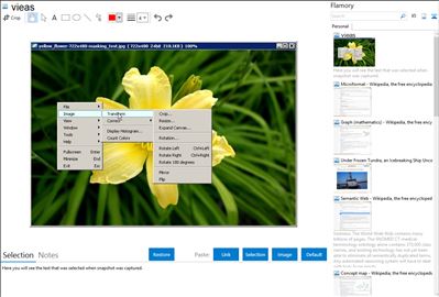 vieas - Flamory bookmarks and screenshots