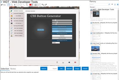 WDT - Web Developer Tools - Flamory bookmarks and screenshots