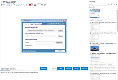 WinGuggle - Flamory bookmarks and screenshots