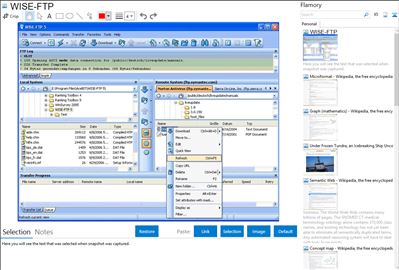 WISE-FTP - Flamory bookmarks and screenshots